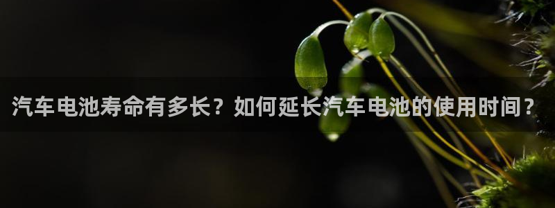 优发国际是什么