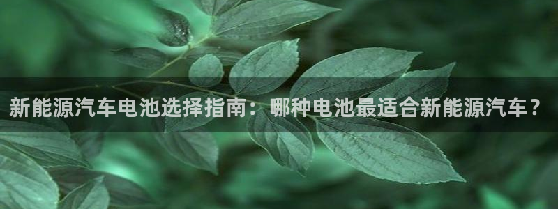 优发国际官方网手机版下载