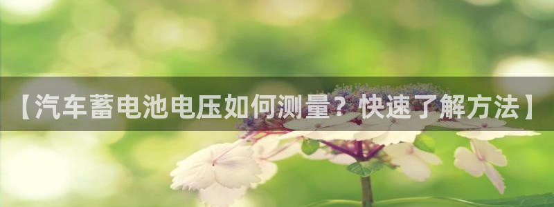 优发国际娱乐官网多少?