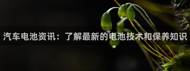 优发国际手机客户端怎么下载