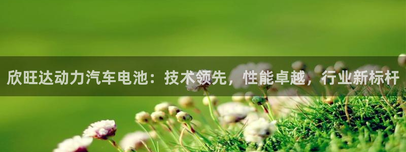 优发国际手机版下载安装