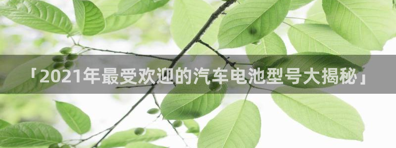 优发国际官网网站首页