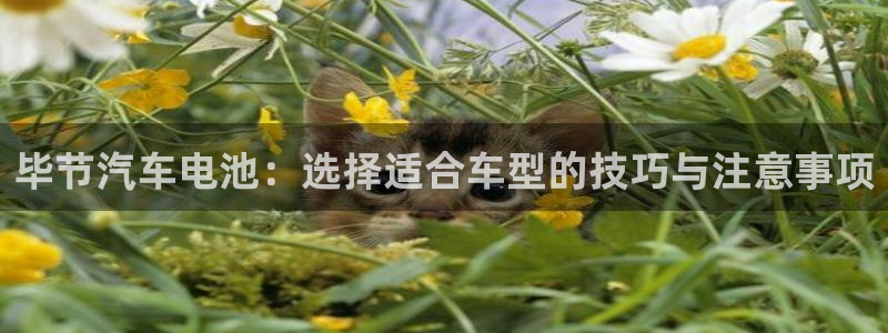 优发国际官网首页