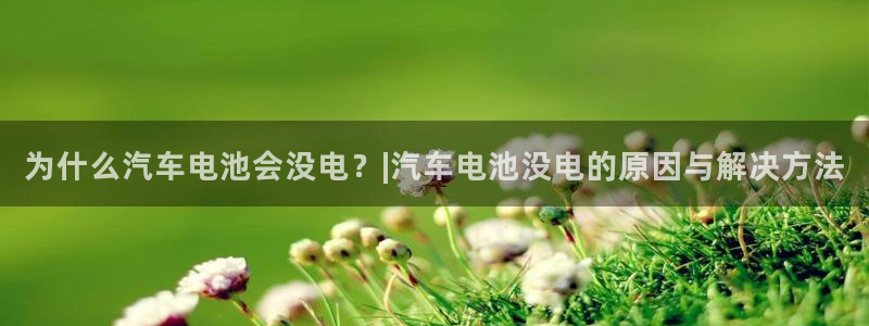 优发国际平台u8怎么样可靠吗