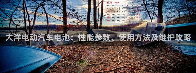 优发国际平台