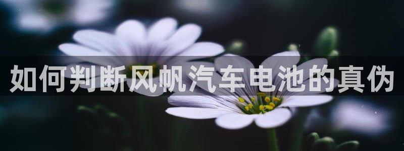 优发国际VIP网址