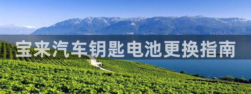 优发国际是什么