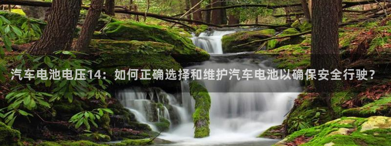 优发国际平台手机版下载