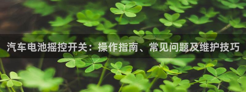 优发国际官网首页入口：汽车电池摇控开关：操作指南、常见问题及维护技巧