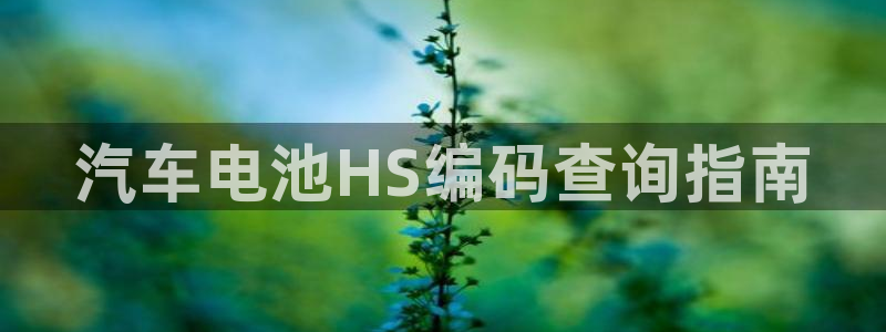 优发国际下载：汽车电池HS编码查询指南