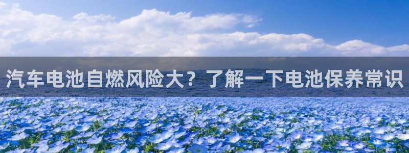 优发国际app：汽车电池自燃风险大？了解一下电池保养常识