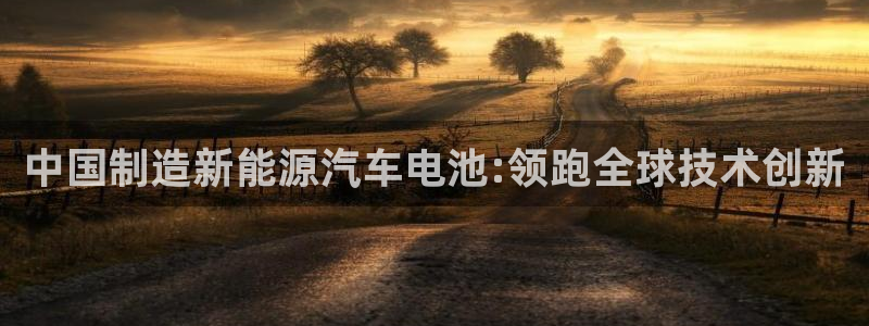 优发国际手机版网站入口：中国制造新能源汽车电池:领跑全球技术创新