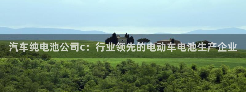 优发国际手机客户端下载安装手机版：汽车纯电池公司c：行业领先的电动车电池生产企业