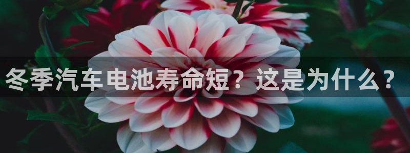 优发国际随优而动一触即发：冬季汽车电池寿命短？这是为什么？