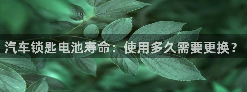 优发国际官方网手机版入口：汽车锁匙电池寿命：使用多久需要更换？