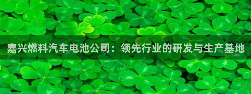 优发国际手机客户端下载官网：嘉兴燃料汽车电池公司：领先行业的研发与生产基地