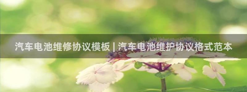 优发国际网官网17w8