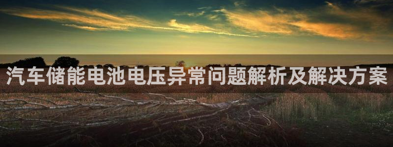 优发国际多少钱