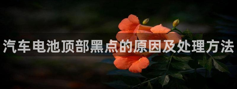 优发国际提现不了