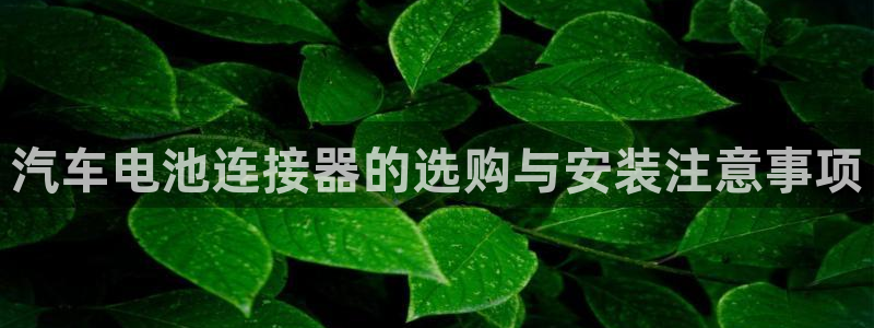 优发国际游戏官方网站入口