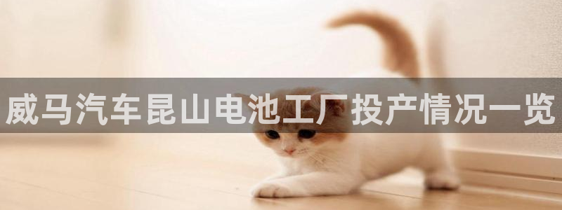 优发国际网站