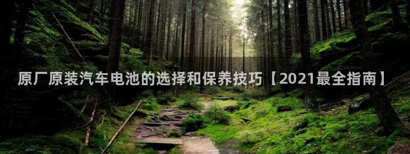 优发国际怎么样
