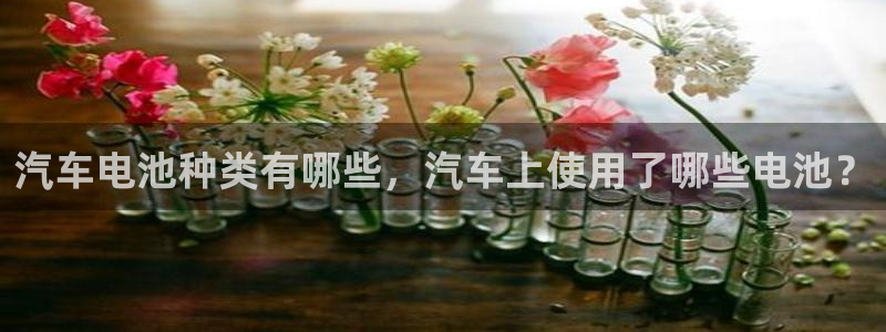 优发国际 干什么的