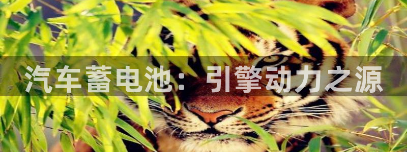 优发国际官网,首页