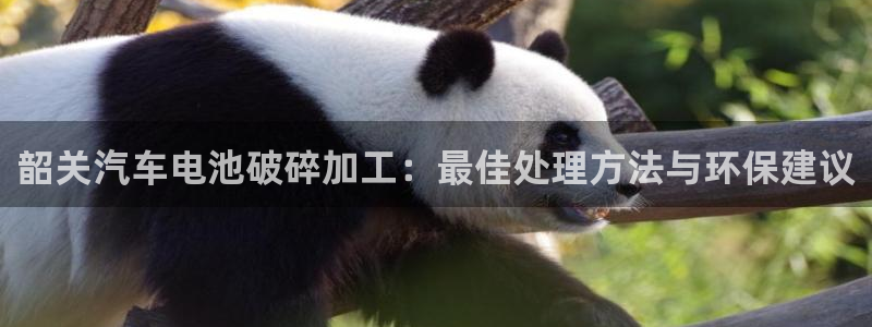 优发国际官方网手机版下载