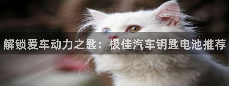 优发国际登录首页怎么设置