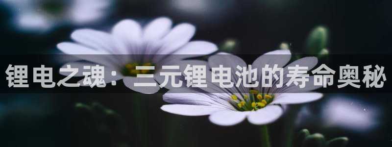 优发国际手机客户端下载安装不了