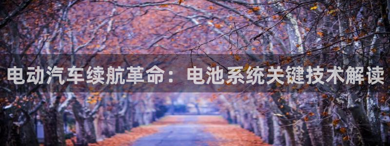 优发国际网站官网