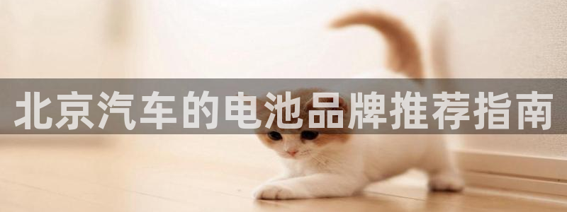 优发国际怎么样
