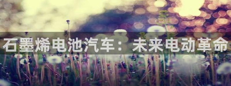 优发国际平台g8