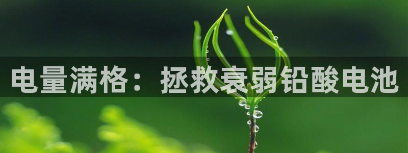 优发国际官网