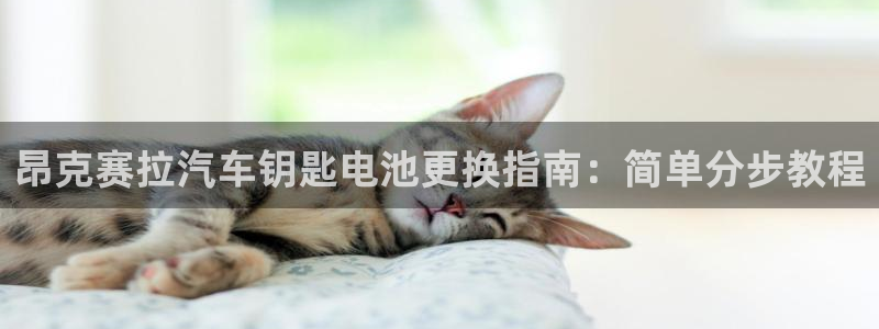 优发国际登录app