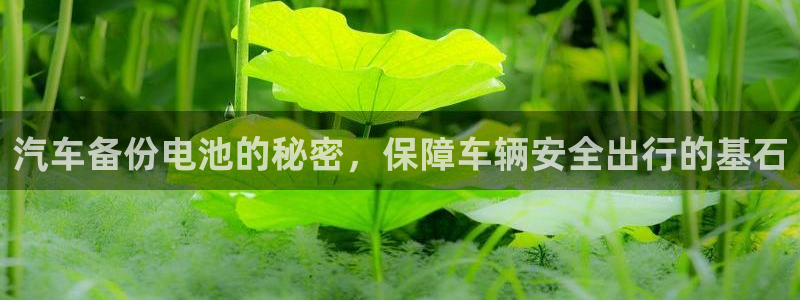 优发国际官网网站登录