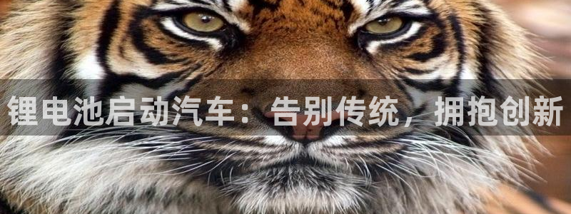 优发国际集团股份有限公司官网