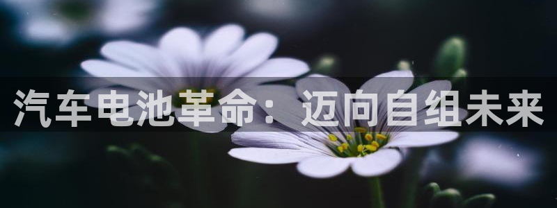 优发国际网页