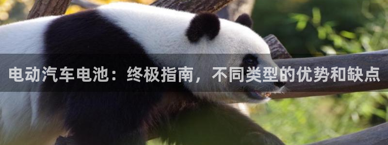优发国际官网手机版