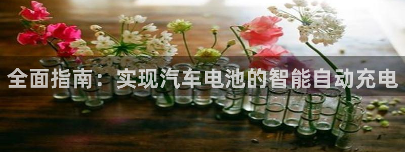 优发国际网站178