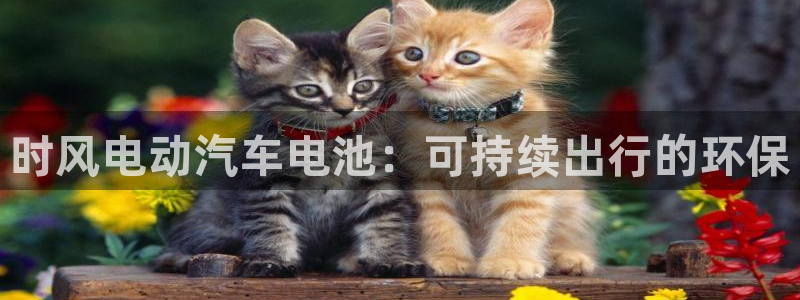 优发国际手机版下载官网