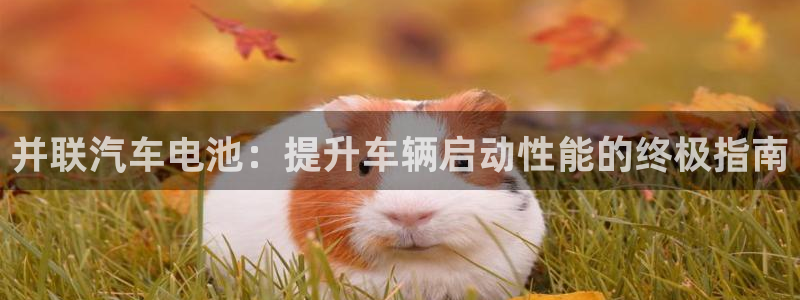 优发国际网站