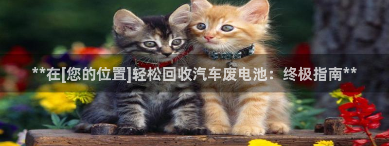 优发国际一触即发登陆