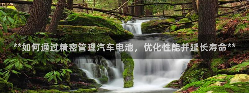 优发国际下载app