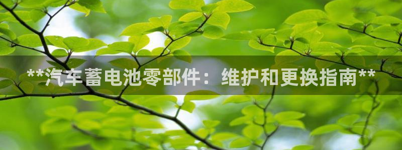 优发国际官方网手机版入口
