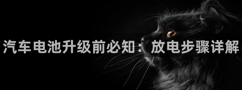 优发国际平台