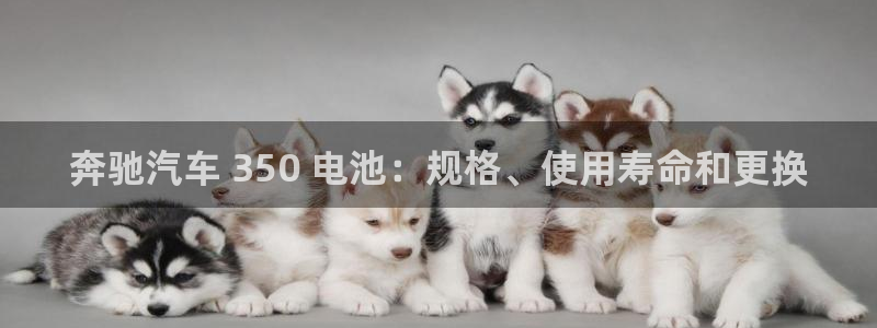 优发国际平台g8