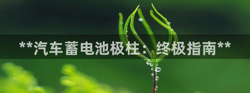 优发国际官网手