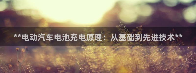 优发国际一触即发登陆